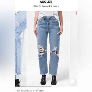 Agolde 90s Loose Fit in Fall Out